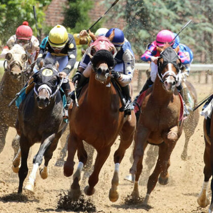 Equine CURRENCY photo Summer 2021